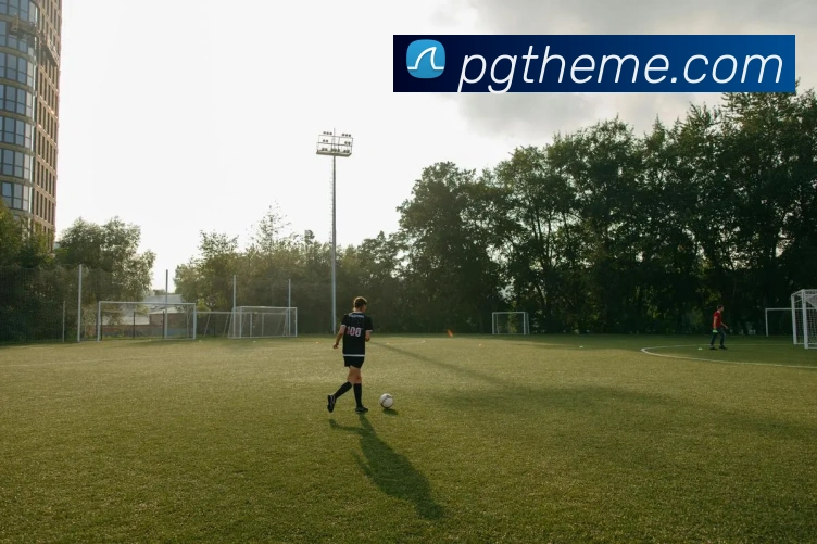 pg模拟器平台生态图